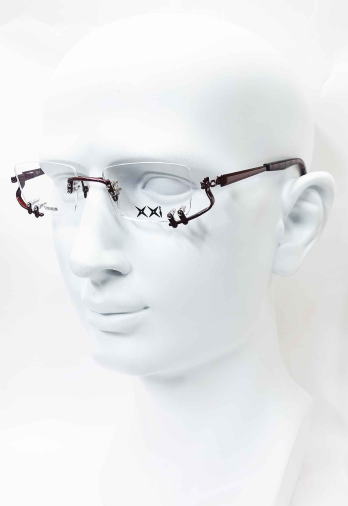 1011���K�l�t���[������-C5�u�h�E