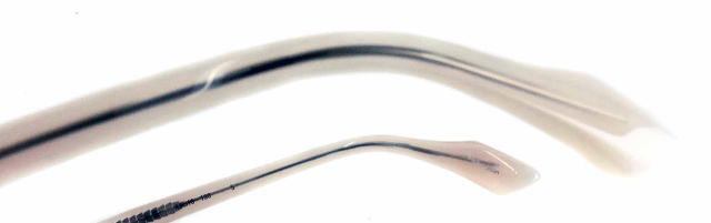 ���K�l�t���[���A���_�[����1011�ʉ_-5