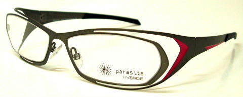 [parasite]  pTCgKlt[