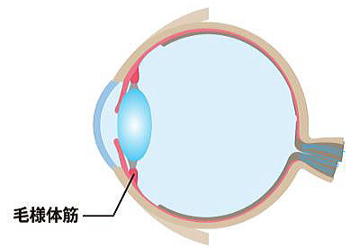 疲れ目眩しさ軽減　眼精疲労予防レンズネッツペックコート