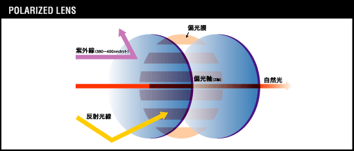 「偏光レンズ」