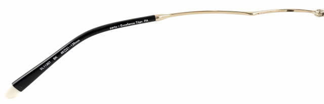 ݃KlCA[g11307-BK-S46