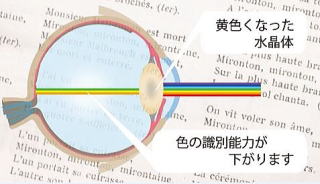 ネオコントラストレンズ　夜間運転・PC眩しさカット