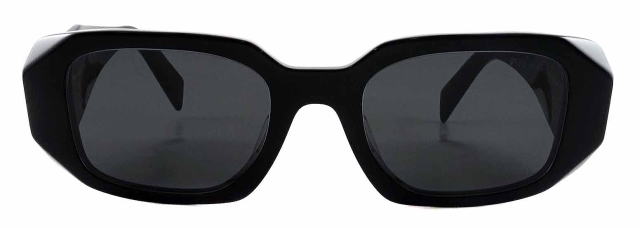 �v���_�T���O���X�����Y17WSF-1AB5S0-S51