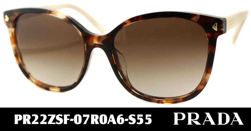 �v���_���f�B�[�X�T���O���X22ZSF-07R0A6-S55