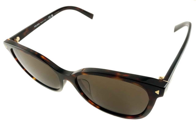 �T���O���X���f�B�[�X�v���_22ZSF-17N06B-S55