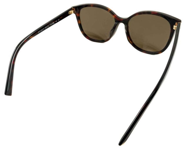 �T���O���X���f�B�[�X�v���_22ZSF-17N06B-S55