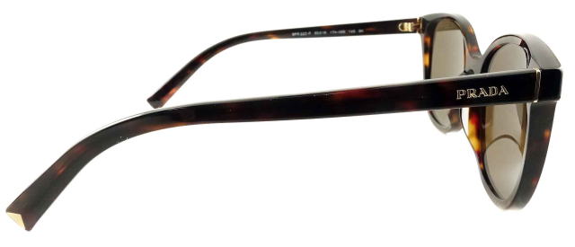 �T���O���X���f�B�[�X�v���_22ZSF-17N06B-S55