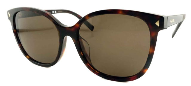 �T���O���X���f�B�[�X�v���_22ZSF-17N06B-S55