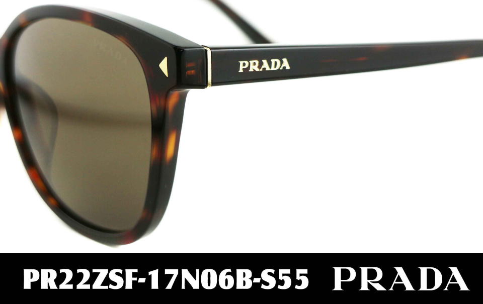 �T���O���X���f�B�[�X�v���_22ZSF-17N06B-S55