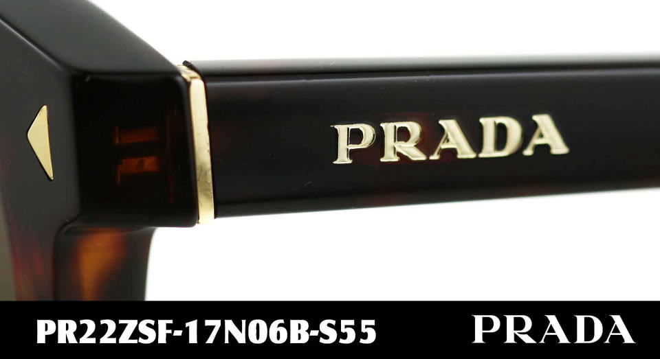 �T���O���X���f�B�[�X�v���_22ZSF-17N06B-S55