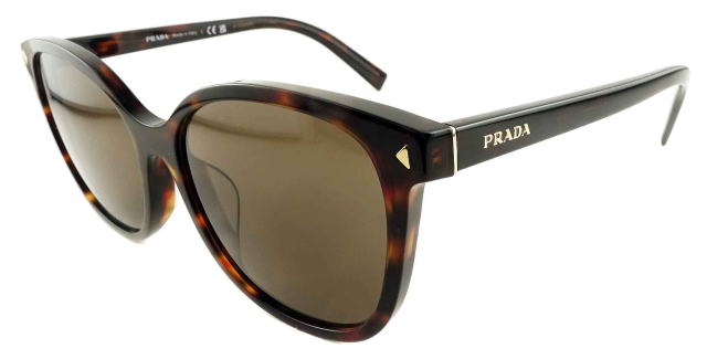 �T���O���X���f�B�[�X�v���_22ZSF-17N06B-S55