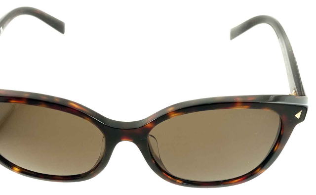 �T���O���X���f�B�[�X�v���_22ZSF-17N06B-S55