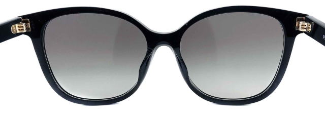 �T���O���X�v���_���f�B�[�X22ZSF-1AB0A7-S55