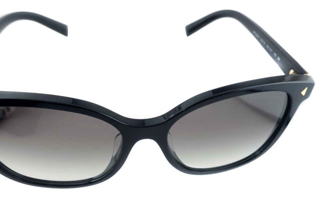 �T���O���X�v���_���f�B�[�X22ZSF-1AB0A7-S55