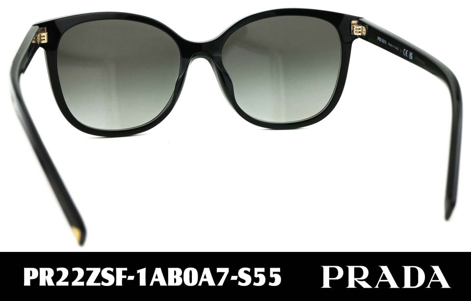 �T���O���X�v���_���f�B�[�X22ZSF-1AB0A7-S55