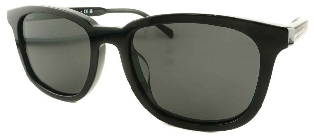 �T���O���X�v���_�����YA21SF-16K08Z-S55