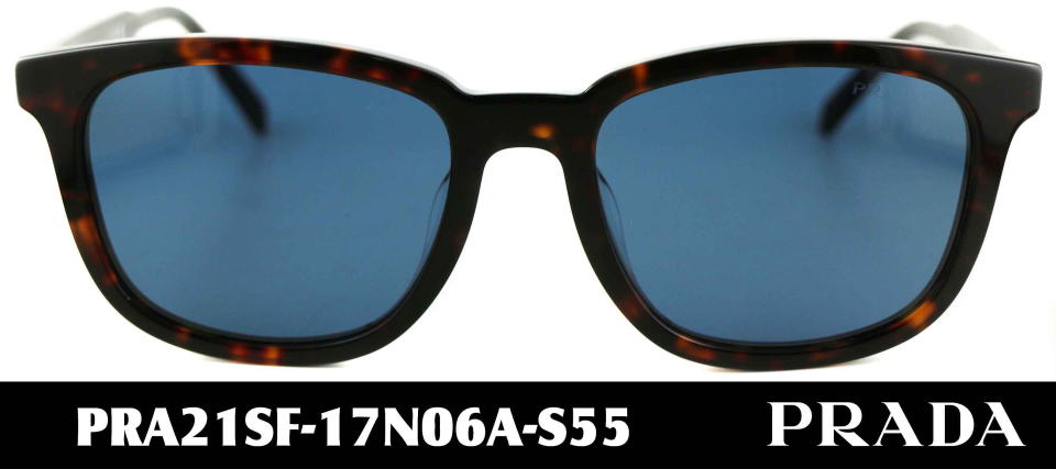 �T���O���X�����Y�v���_A21SF-17N06A-S55