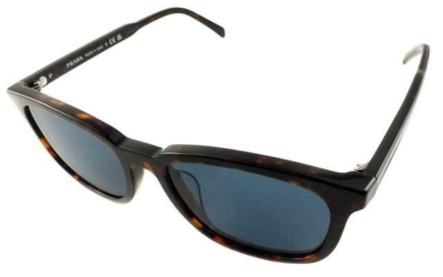 �T���O���X�����Y�v���_A21SF-17N06A-S55