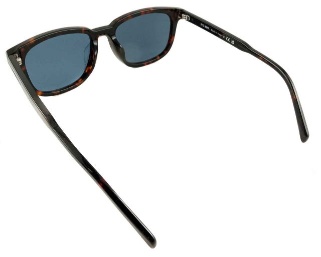 �T���O���X�����Y�v���_A21SF-17N06A-S55