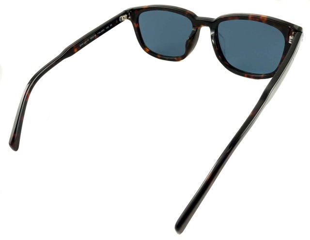 �T���O���X�����Y�v���_A21SF-17N06A-S55