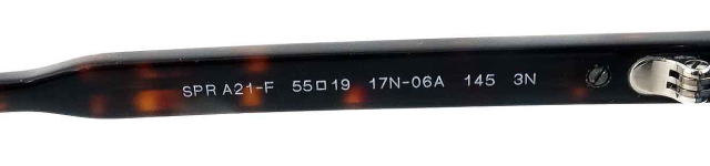 �T���O���X�����Y�v���_A21SF-17N06A-S55