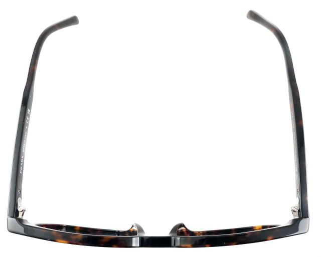 �T���O���X�����Y�v���_A21SF-17N06A-S55