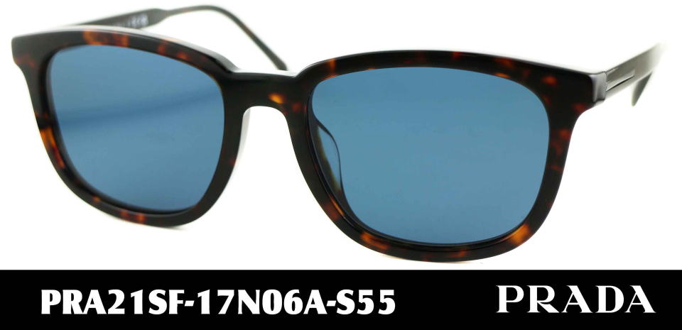 �T���O���X�����Y�v���_A21SF-17N06A-S55