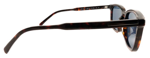 �T���O���X�����Y�v���_A21SF-17N06A-S55