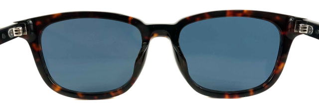 �T���O���X�����Y�v���_A21SF-17N06A-S55