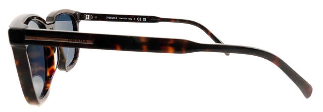 �T���O���X�����Y�v���_A21SF-17N06A-S55