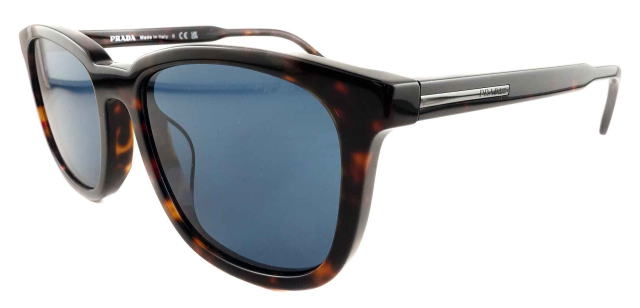 �T���O���X�����Y�v���_A21SF-17N06A-S55