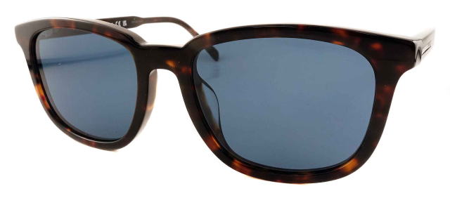 �T���O���X�����Y�v���_A21SF-17N06A-S55