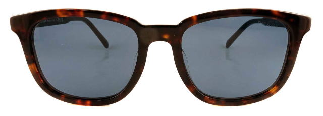 �T���O���X�����Y�v���_A21SF-17N06A-S55