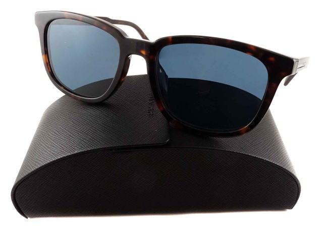 �T���O���X�����Y�v���_A21SF-17N06A-S55