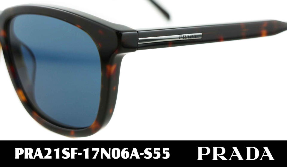 �T���O���X�����Y�v���_A21SF-17N06A-S55