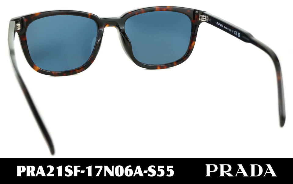 �T���O���X�����Y�v���_A21SF-17N06A-S55