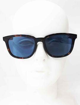 �T���O���X�����Y�v���_A21SF-17N06A-S55