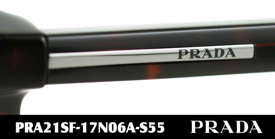 �T���O���X�����Y�v���_A21SF-17N06A-S55