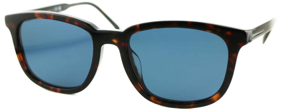 �T���O���X�����Y�v���_A21SF-17N06A-S55