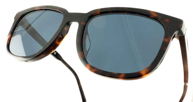 �T���O���X�����Y�v���_A21SF-17N06A-S55