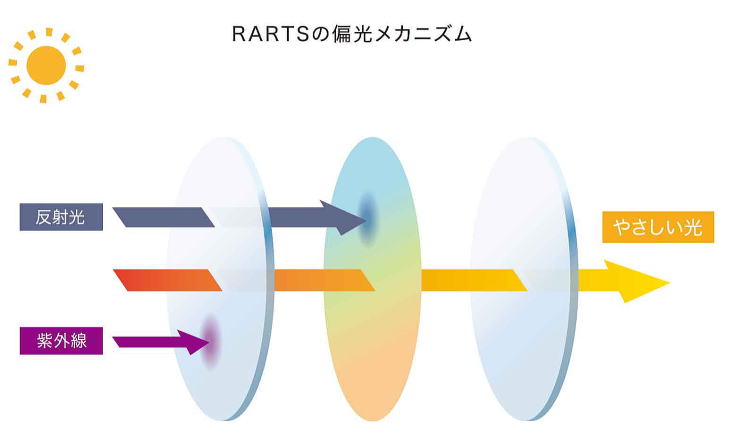 偏光サングラスレンズ度付き対応【RARTS】アーツ伊藤光学