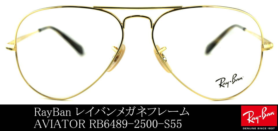 ���C�o���A�r�G�[�^�[���K�l6489-2500-S55