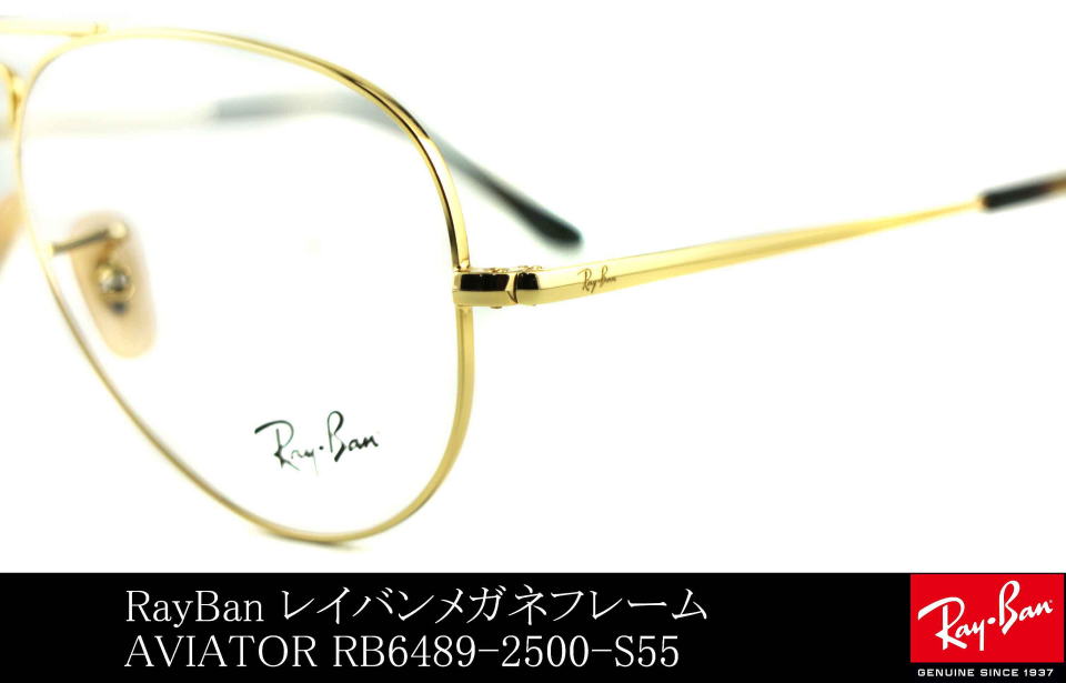 ���C�o���A�r�G�[�^�[���K�l6489-2500-S55