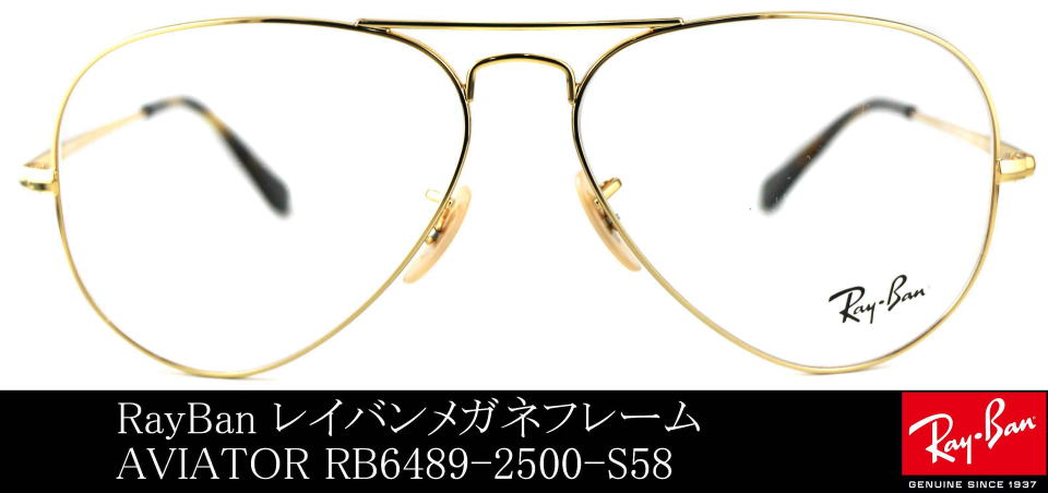 �A�r�G�[�^�[���K�l���C�o��6489-2500-S58