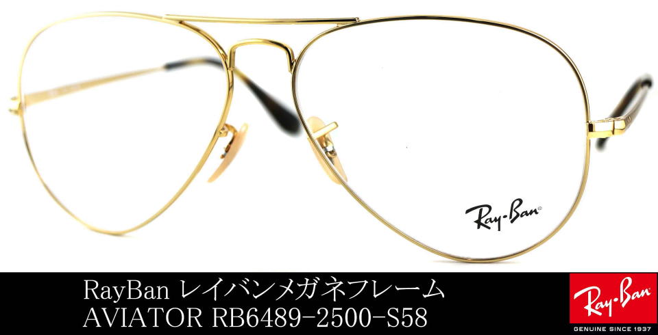 �A�r�G�[�^�[���K�l���C�o��6489-2500-S58