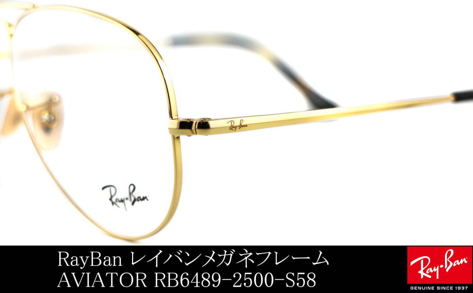 �A�r�G�[�^�[���K�l���C�o��6489-2500-S58