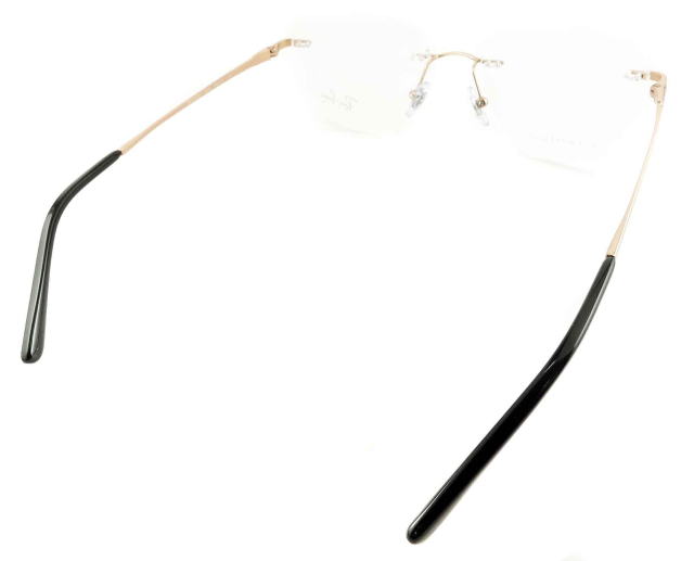 ���C�o�����K�l�t���[��8783D-1248-S52