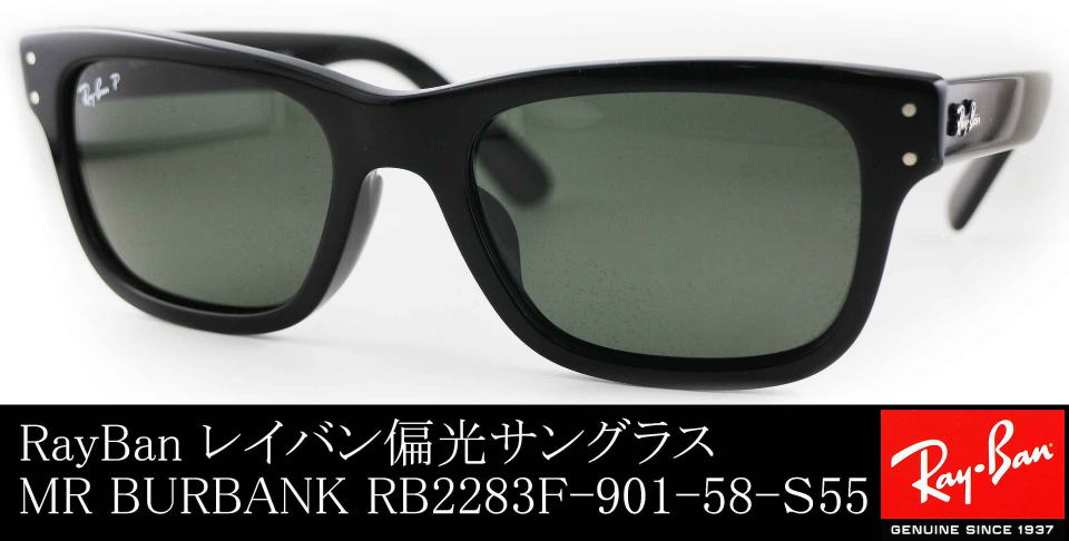 Ray-Ban Polarized サングラス