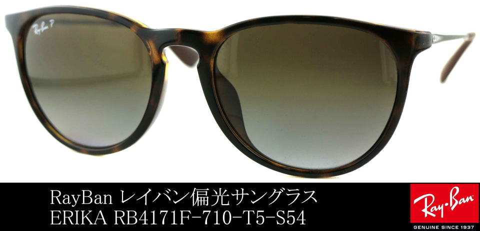 Ray-Ban  偏光レンズ　ERIKA CLASSIC　RB4171F